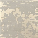 Wallcovering Clear Glass